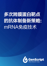 多次跨膜蛋白靶点的抗体制备新策略：mRNA免疫技术