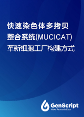 快速染色体多拷贝整合系统（MUCICAT）革新细胞工厂构建方式