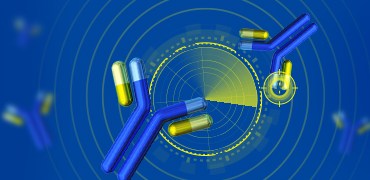 抗独特型抗体开发策略和难点解析